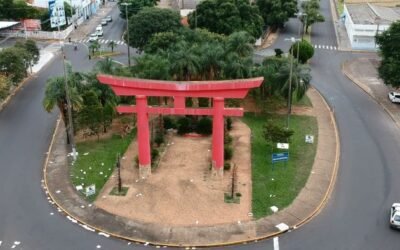 Torii